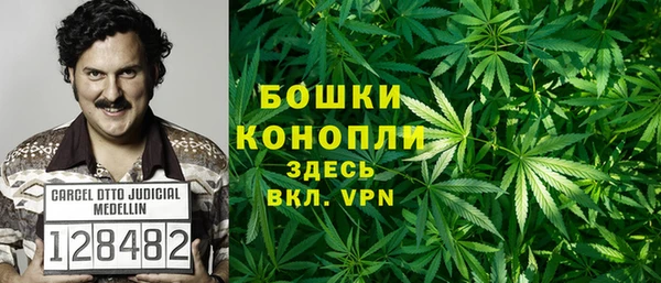 прущие крисы Абаза