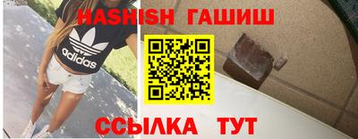 стаф Можга