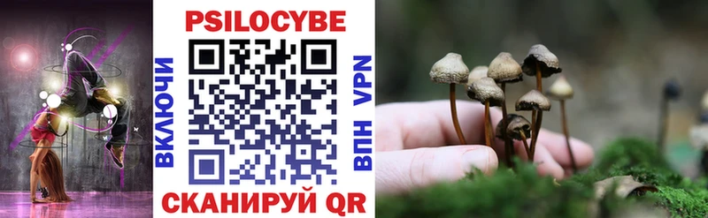 где купить наркотик  Димитровград  мега tor  Галлюциногенные грибы Cubensis 