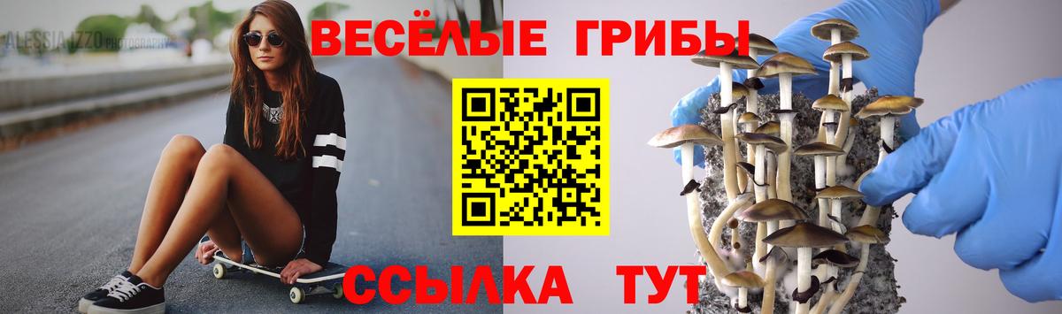 Псилоцибиновые грибы GOLDEN TEACHER Димитровград