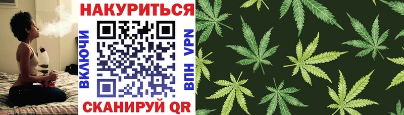 OMG зеркало  Димитровград  Каннабис SATIVA & INDICA 